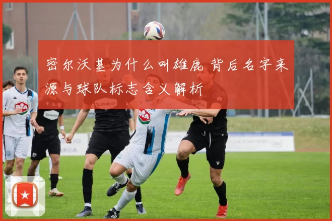 密尔沃基为什么叫雄鹿 背后名字来源与球队标志含义解析