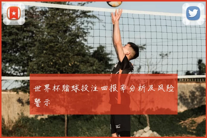 世界杯赌球投注回报率分析及风险警示