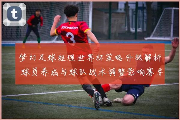 梦幻足球经理世界杯策略升级解析 球员养成与球队战术调整影响赛季走势