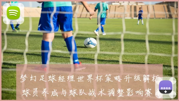 梦幻足球经理世界杯策略升级解析 球员养成与球队战术调整影响赛季走势