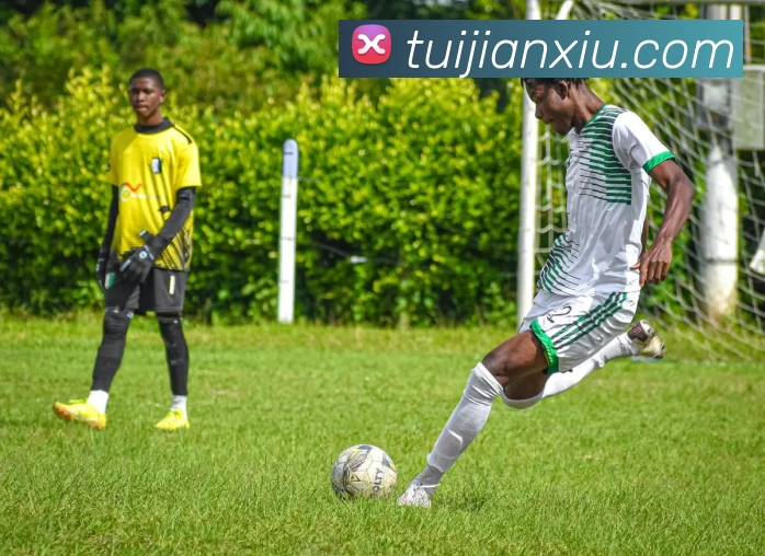 mksports官网地址APP 封面图